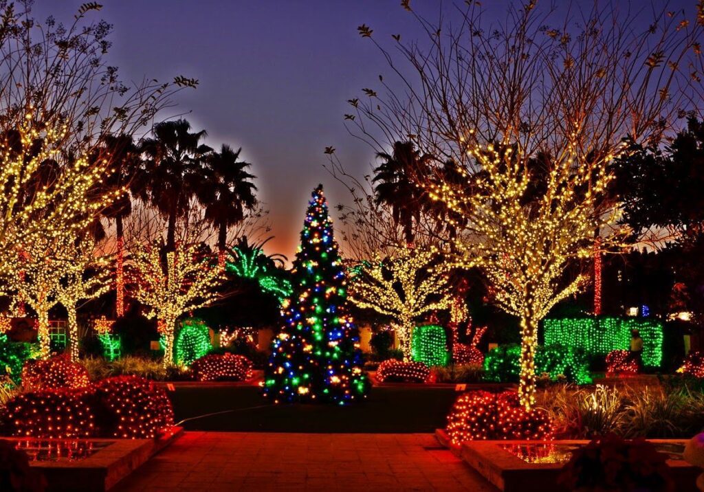 Holiday lighting Services-Hardscape Contractors of Port St. Lucie