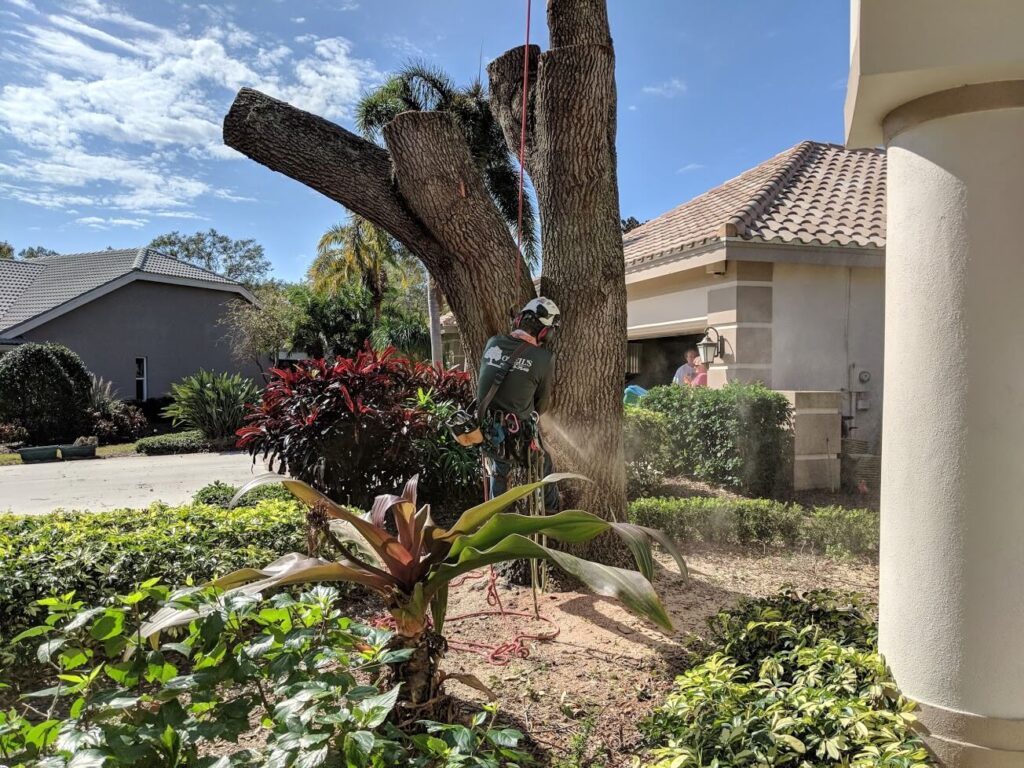 Tree Service Experts-Hardscape Contractors of Port St. Lucie