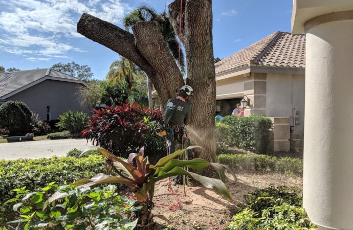 Tree Service Experts-Hardscape Contractors of Port St. Lucie